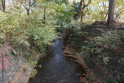 秋の玉川上水