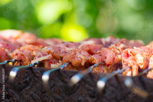 Close up view of roasted meat prepairing on barbeque.