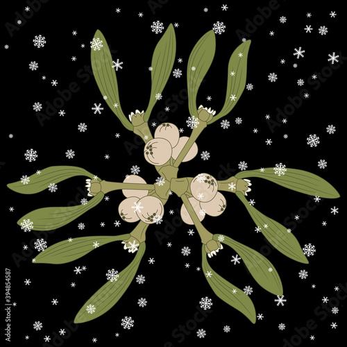 Branches of mistletoe under snowflakes. Winter Christmas ornament. Viscum album.