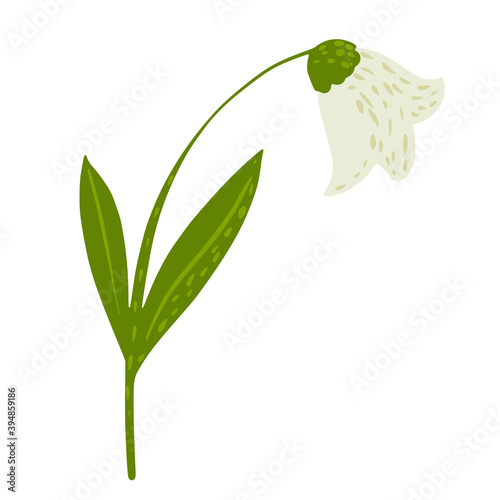 Beautiful bellflower white color isolated on white background. Abstract botanical flower in doodle.