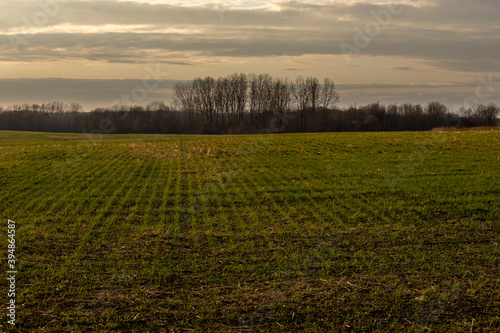 autumn november sunset in the field © Jerzy