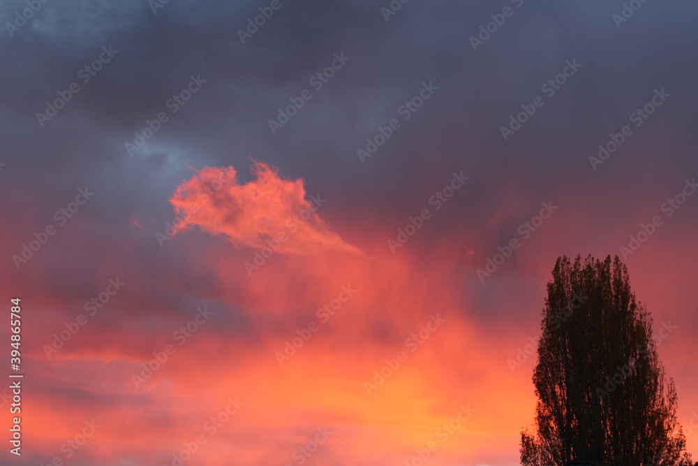 Obraz premium A whimsical cloud appeared in the sunset sky