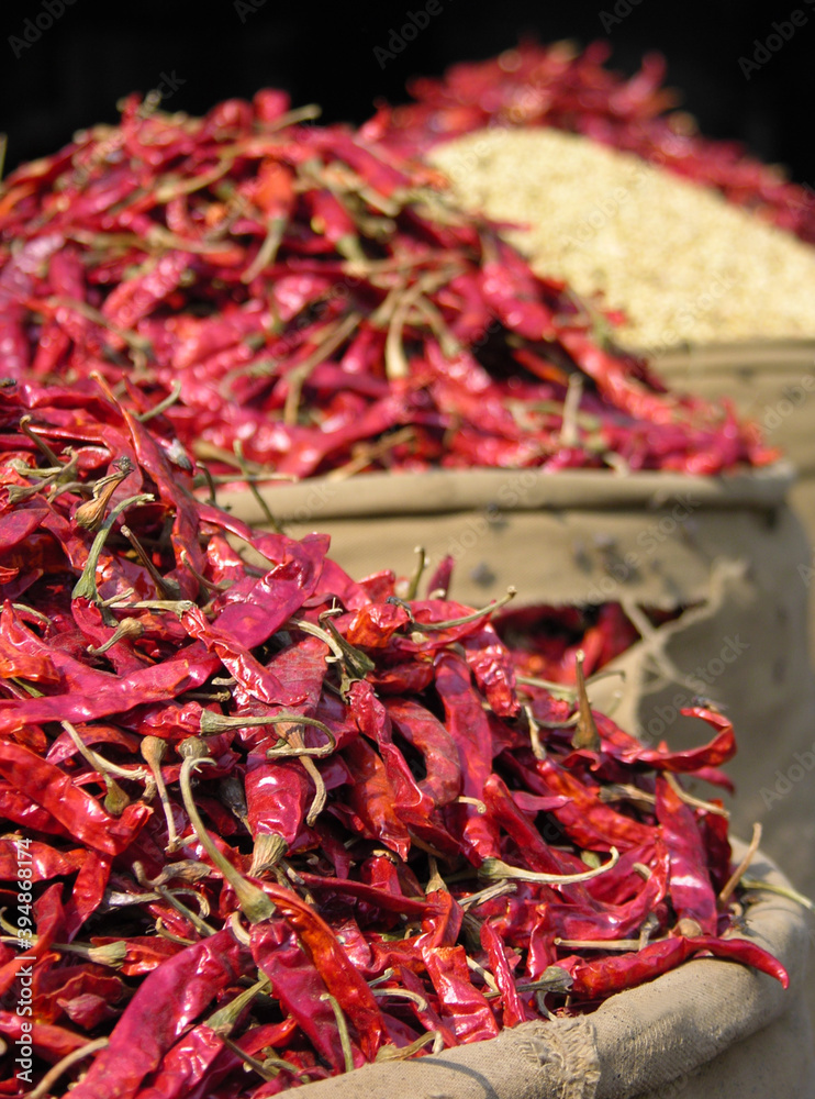 Fototapeta premium Red chili peppers in bags at the Indian market.