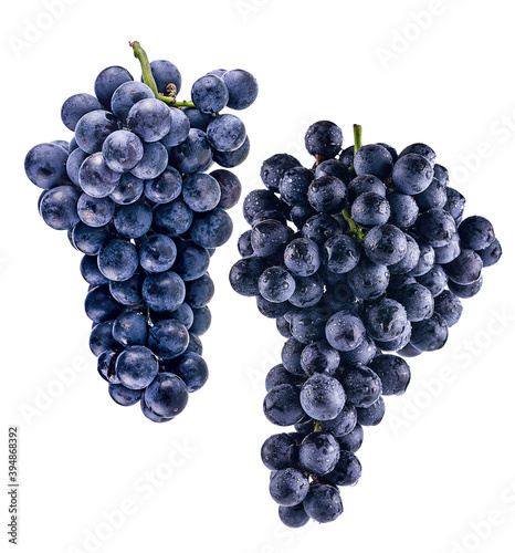  black grapes isolated on white background