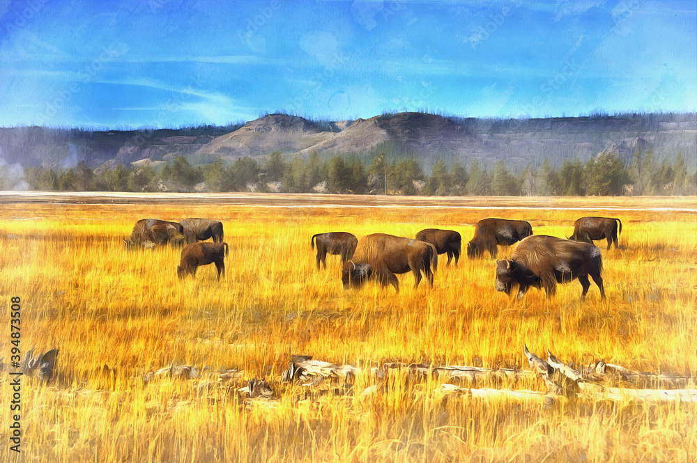 American bison colorful painting looks like picture, Yellowstone National Park, USA. American bison colorful painting looks like picture, Yellowstone National Park, USA.