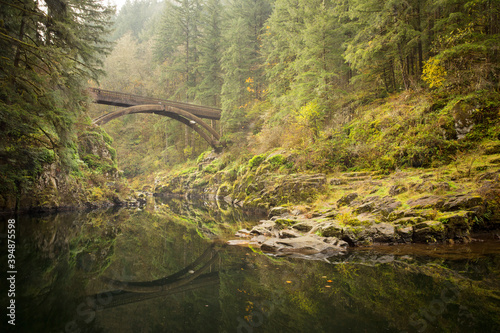 Fotografija Take a nature walk over the flowing Lewis River in Washington State