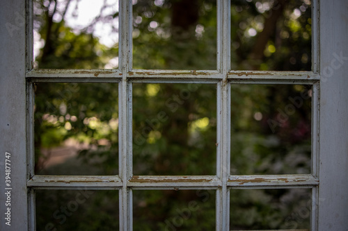 imagem de uma porta antiga sem vidro com a vegetação atrás