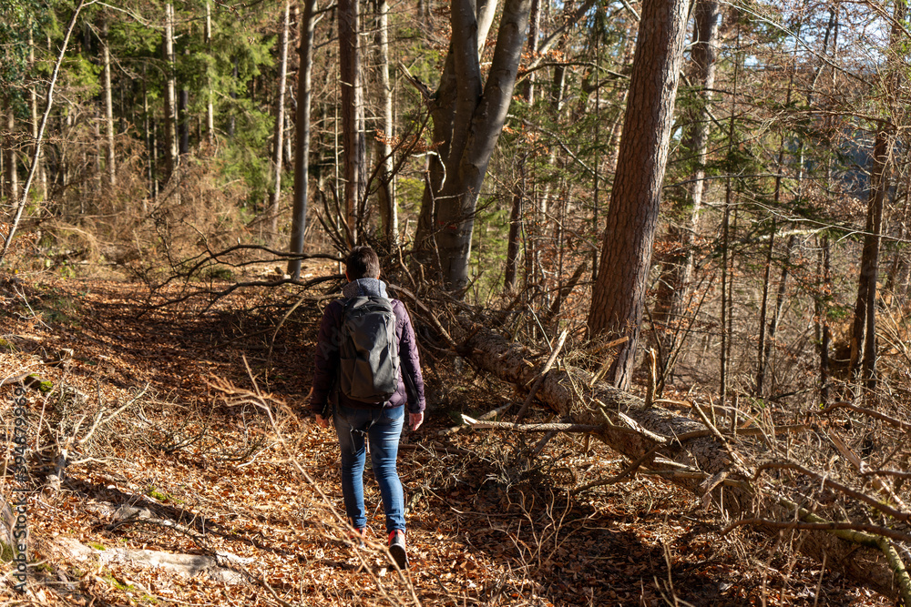 Naklejka premium Bei Horgen in der nähe von Rottweil BW