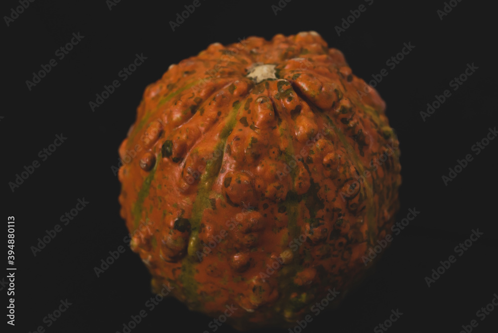 interesting pumpkin close up, selective focus interesting pumpkin close up, selective focus