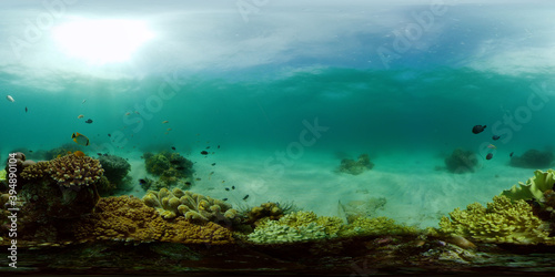 Fototapeta Naklejka Na Ścianę i Meble -  Tropical underwater sea fish. Colourful tropical coral reef. Scene reef. Philippines. Virtual Reality 360.