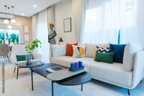 Beautiful modern living room interior with white sofa  colorful pillows  wood table and decorated vase with beautiful plant.