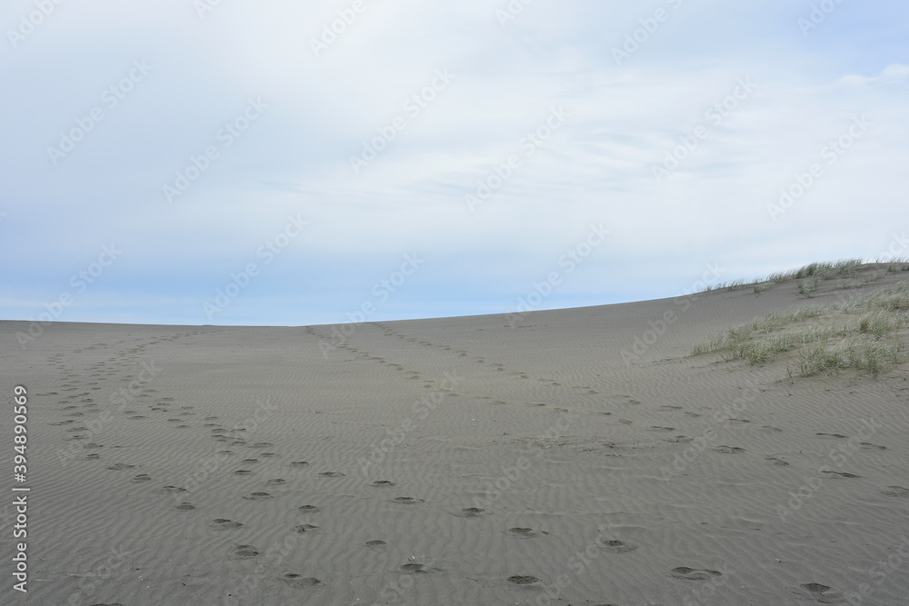 View of sand dunes with human footprints View of sand dunes with human footprints