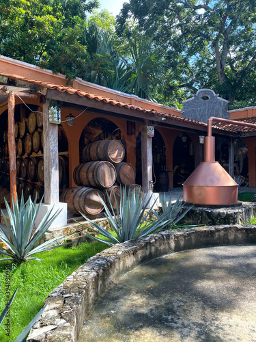 Production of tequila in Mexico. Old factory for the production of tequila. Side view of the barrels of alcohol in the yard of the factory. Concept of tourism and traditions
