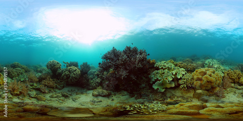 Fototapeta Naklejka Na Ścianę i Meble -  Colourful tropical coral reef. Scene reef. Marine life sea world. Philippines. Virtual Reality 360.