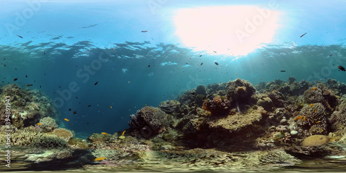 Fototapeta Naklejka Na Ścianę i Meble -  Tropical coral reef. Scene reef. Marine life sea world. Underwater fish reef marine. Philippines. Virtual Reality 360.