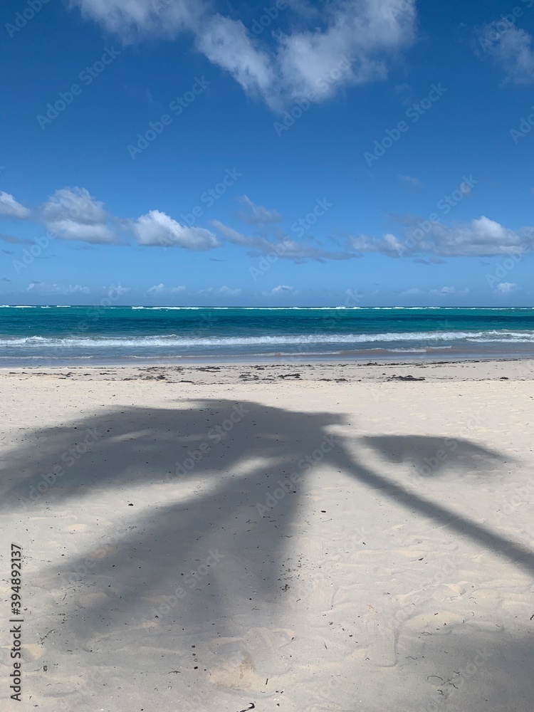 Obraz premium beach and sea