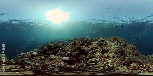 Beautiful underwater landscape with tropical fish and corals. Hard and soft corals  underwater landscape. Travel vacation concept. Philippines. 360 panorama VR