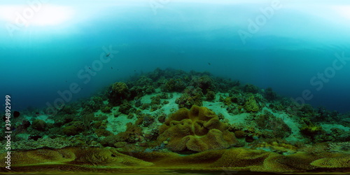 Colourful tropical coral reef. Hard and soft corals  underwater landscape. Philippines. Virtual Reality 360.