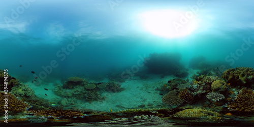 Tropical fishes and coral reef at diving. Beautiful underwater world with corals and fish. Philippines. 360 panorama VR
