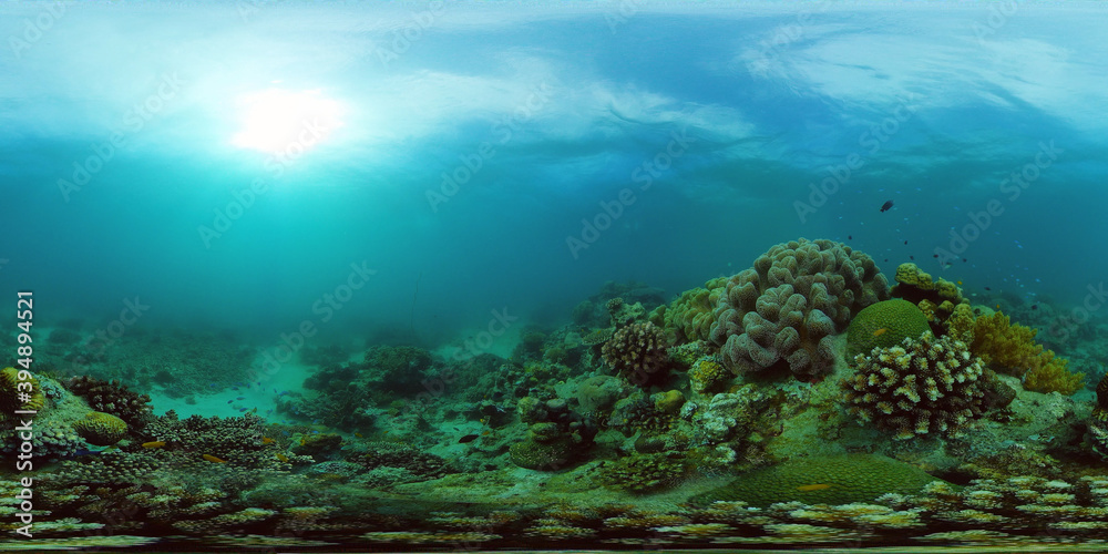 Underwater world with coral reef and tropical fishes. Travel vacation concept 360 panorama VR