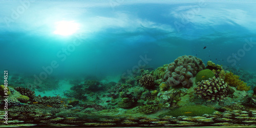 Fototapeta Naklejka Na Ścianę i Meble -  Underwater world with coral reef and tropical fishes. Travel vacation concept 360 panorama VR