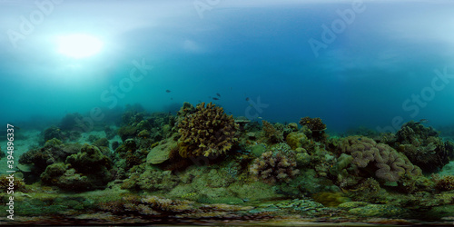 Sealife  Diving near a coral reef. Beautiful colorful tropical fish on the lively coral reefs underwater. Philippines. 360 panorama VR