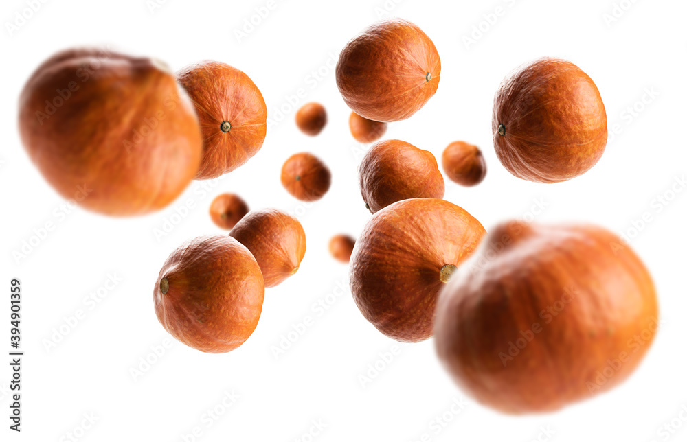 Ripe pumpkins levitate on a white background Ripe pumpkins levitate on a white background