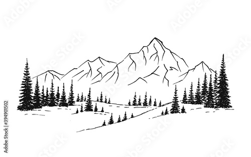 Hand drawn vector nature illustration with mountains and forest on first view. Using for travel and nature background and card