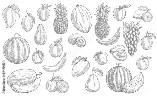 Sketch fruits isolated vector icons watermelon, pineapple, peach and mango with kiwi. Farm market, orchard or store garden and tropic exotic fruits banana, avocado, lemon with grapes and melon set