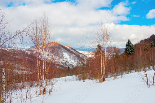 uzhanian natural park in snow covered mountains. beautiful nature scenery on a sunny day. mixed forest on the hills. clouds on the sky photo