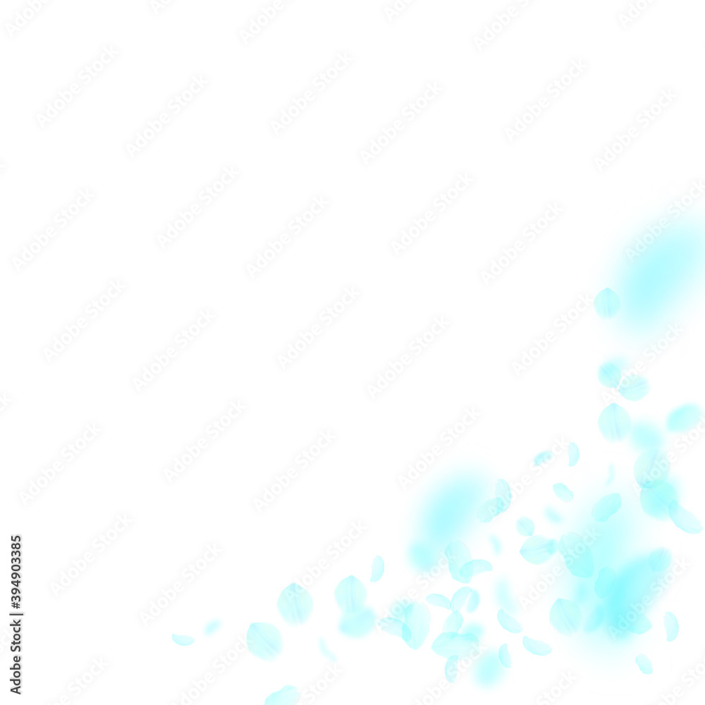 Turquoise flower petals falling down. Delicate rom Turquoise flower petals falling down. Delicate rom