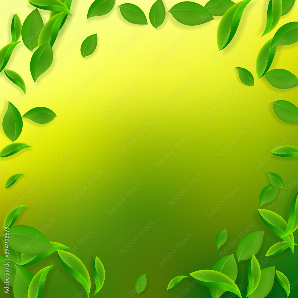 Falling green leaves. Fresh tea chaotic leaves fly Falling green leaves. Fresh tea chaotic leaves fly