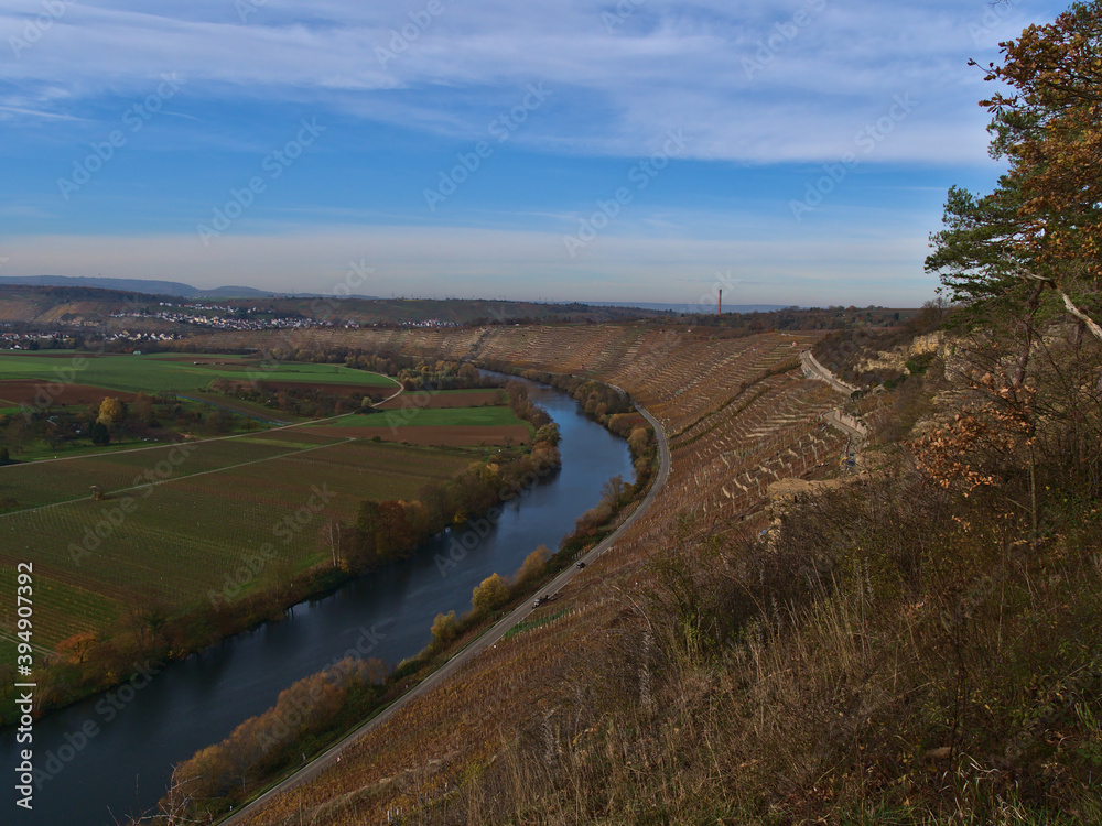 Beautiful panoramic view of Neckar river valley near Hessigheim, Baden-Württemberg, Germany with terraced vineyards, agricultural fields and discolored trees in autumn season.
