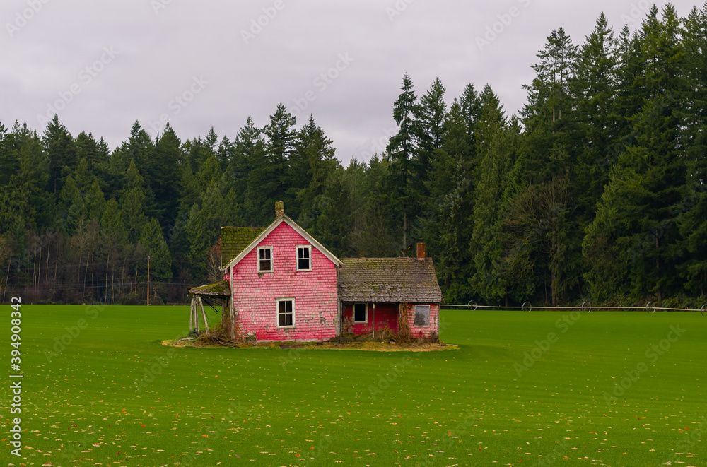 An abandoned pink color farmhouse in a green field on cloudy autumn day. Selective focus, travel photo, street view, nobody.