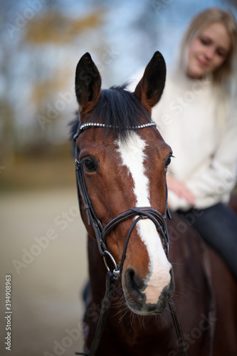Horse head portraits with rider, focus on the horse's eye, rider in the blur..