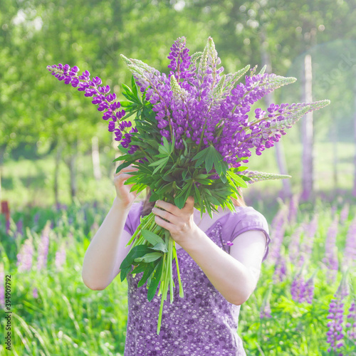 Fototapeta Naklejka Na Ścianę i Meble -  A young woman with a large bouquet of purple lupine flowers stands in a meadow.