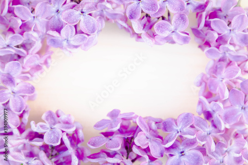  Frame  framed in a circle of purple lilac flowers. Small drops of water on flowers and buds. Copy space. Background.