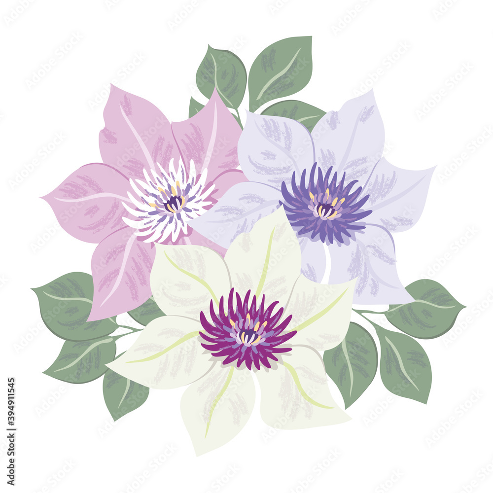 クレマチス 花 イラスト クレマチス 花 イラスト