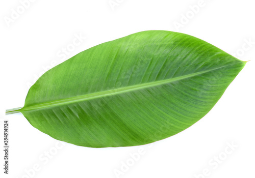 Fresh whole banana leaf isolated on white background