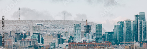 Montreal downtown skyline in winter banner. Panoramic of canadian city with frosted Mount Royal in the background. Construction of condo towers.