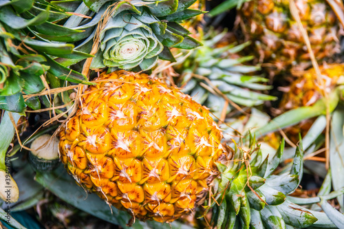 pineapple  at sampeng market Bangkok Thailand Asia photo