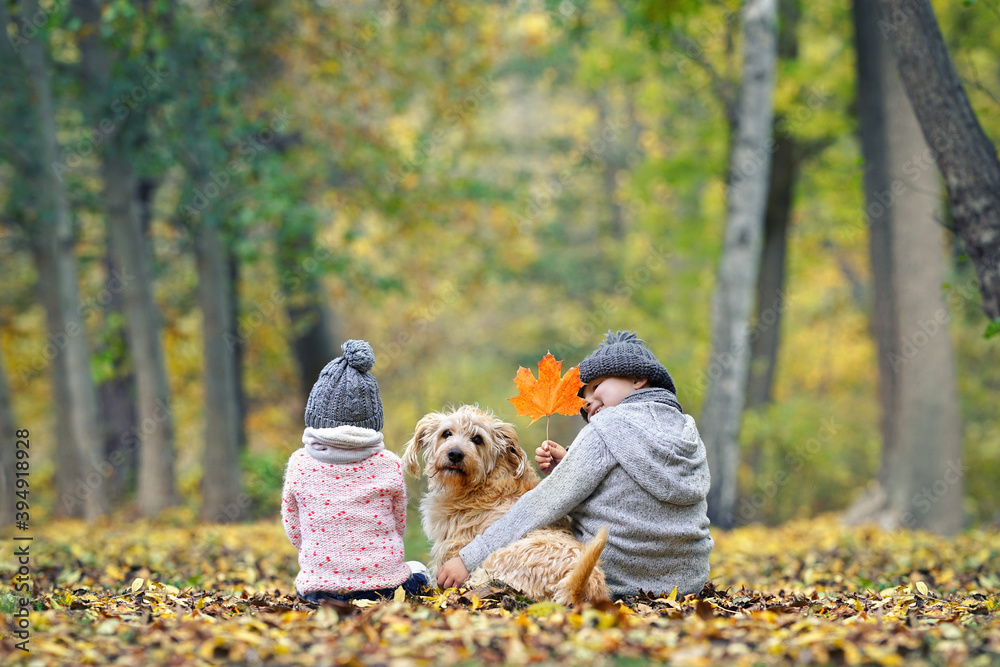 im Herbst im Park spielen im Herbst im Park spielen