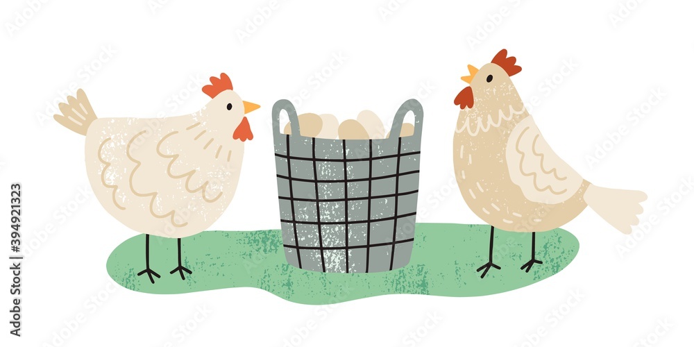 Two hens near wicker basket full of organic eggs. Pair of farm free range chickens. Domestic poultry. Local eco friendly food. Hand drawn flat textured vector illustration isolated on white background - obrazy, fototapety, plakaty 