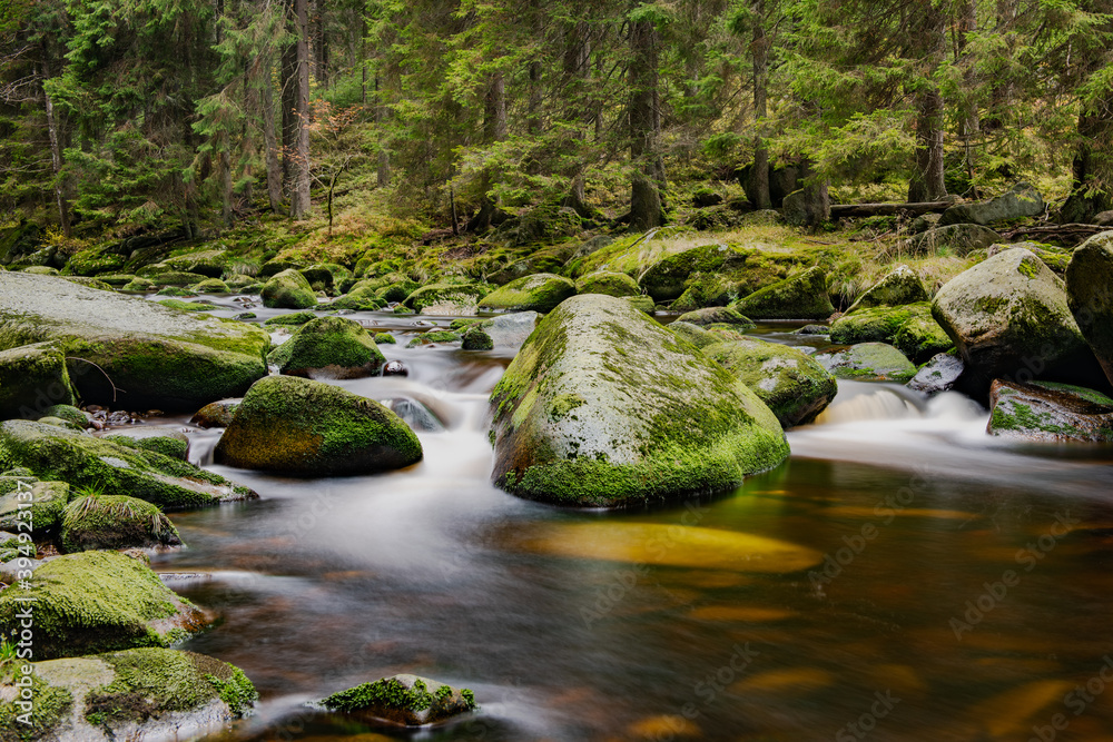 Obraz premium Beautiful landscape of the Czech Republic area of the Sumava National Park.