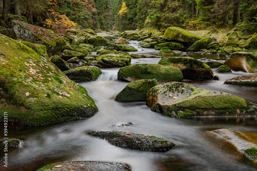 Obraz premium Beautiful landscape of the Czech Republic area of the Sumava National Park.