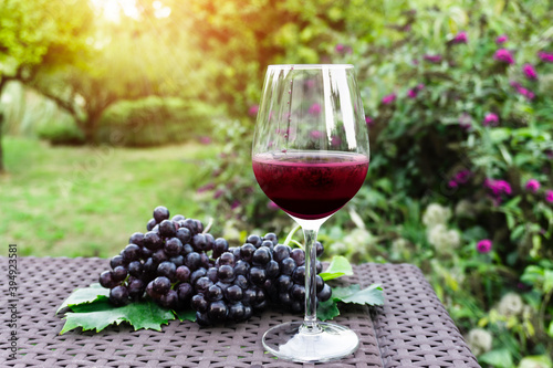 Glass of red wine and bunches of black ripe grape on brown rattan table in garden 