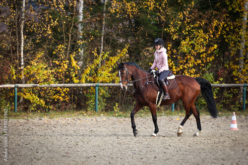 Horse with rider during training in autumn on the riding arena, here in a light seat at a trot..