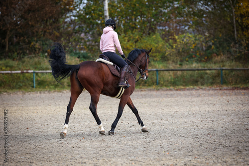 Horse with rider during training in autumn on the riding arena, photographed from behind while trotting.. © RD-Fotografie