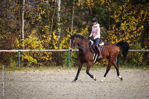 Horse with rider during training in autumn on the riding arena, here in a light seat in a trot with stretched outer leg..