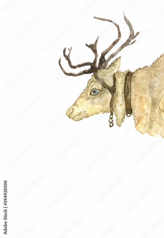 watercolor illustration of a cute reindeer in a harness isolated on a